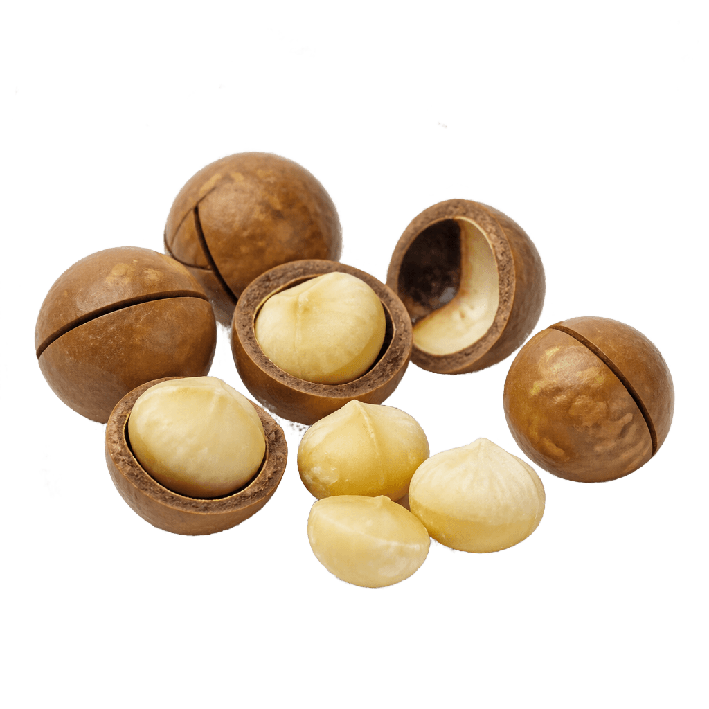 Macadamia Nut Oil