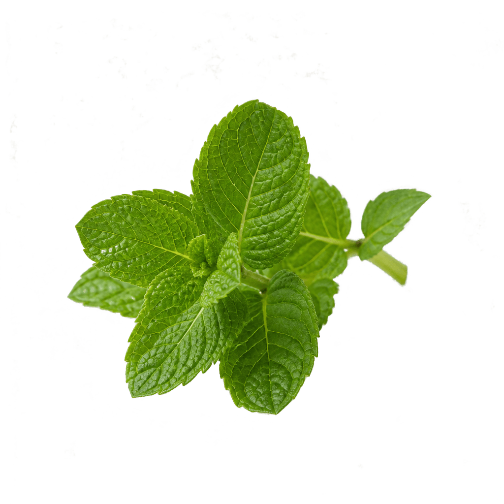 Peppermint Oil